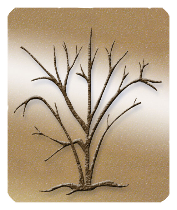 DF35 580 BZ Birch Tree Bronze PROOF